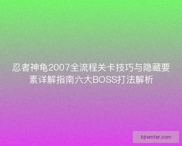 忍者神龟2007全流程关卡技巧与隐藏要素详解指南六大BOSS打法解析
